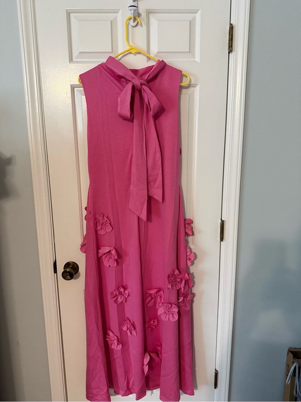 Bright Pink Sleeveless Floral Appliqué Maxi Dress - Picture 2 of 2